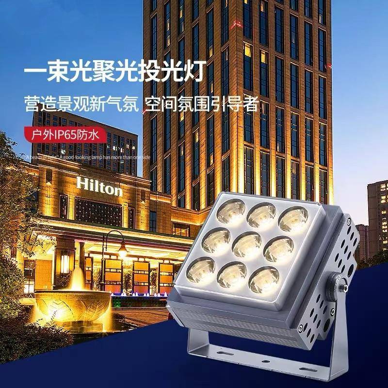 LED一束光投射灯27W户外光柱灯庭院别墅罗马柱桥梁聚光投射灯220V