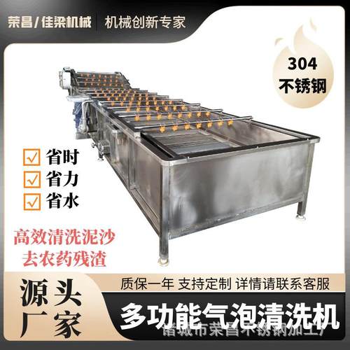 全自动果蔬气泡清洗机大枣山楂清洗设备黄花菜菠菜梅干菜净菜