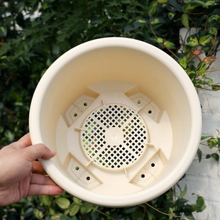 加厚控根球根花盆多肉朱顶红铃兰花卉牵牛草花透气矮胖种球种植盆