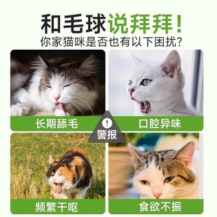 猫草棒冻干猫咪零食排毛克星球粒幼猫营养即食化毛膏宠物磨牙洁齿