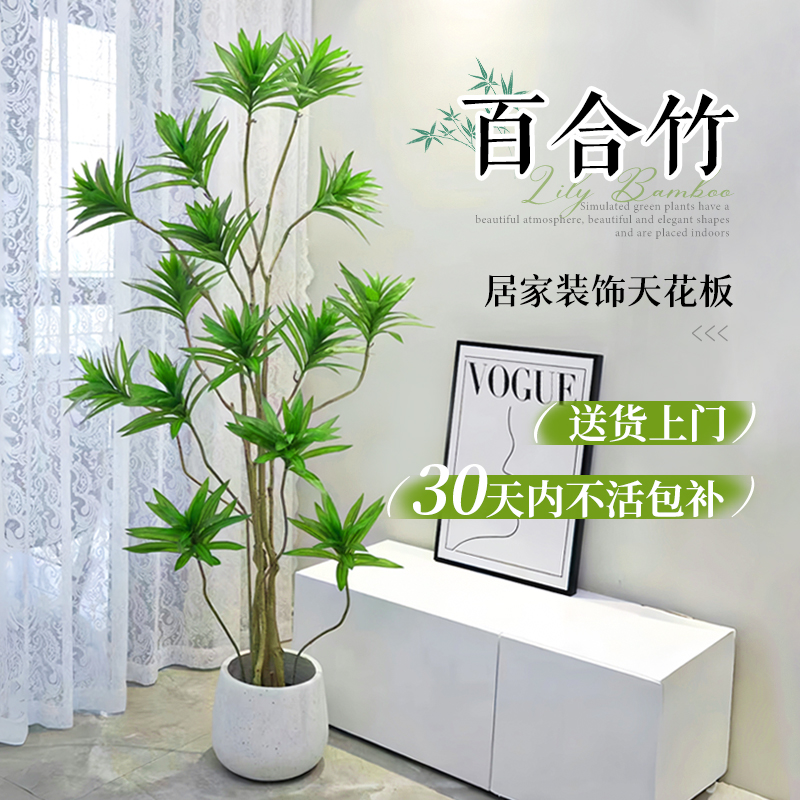 百合竹四季好养活大型植物盆栽客厅办公室真花卉绿植室内造型摆件