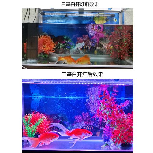 鱼缸灯led灯照明灯水族箱灯防水潜水灯 三基色节能观赏鱼专用增艳
