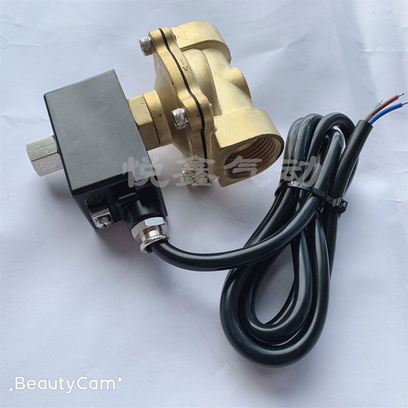 防爆常开电磁阀 DN25电磁阀 2W250-25常开电磁阀 通电关 220V 24V