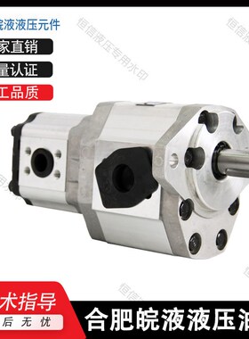 合肥皖液齿轮泵CBQT-E563/E432 F550/F425 F540/F420-AF 双联油泵