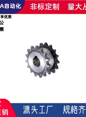 链轮双列SP40SD12 13 14 15 16 17 18 19 20 21-S/N-10 13 15 18