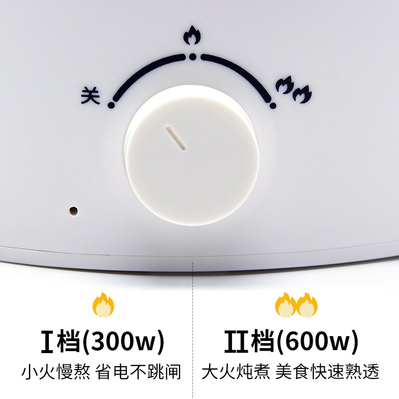 龙力电煮锅迷你电锅多功能家用小功率电煮锅30不锈钢宿舍电热锅