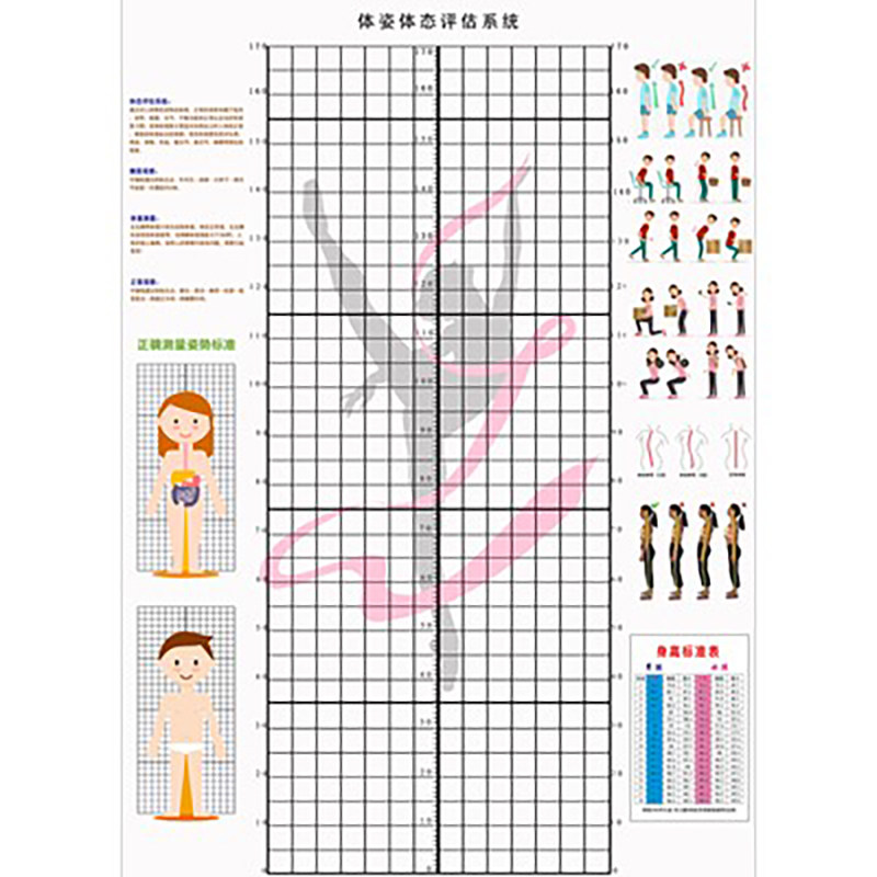 儿童版体态评估表 挂式  男孩女孩身高测量图壁画壁纸