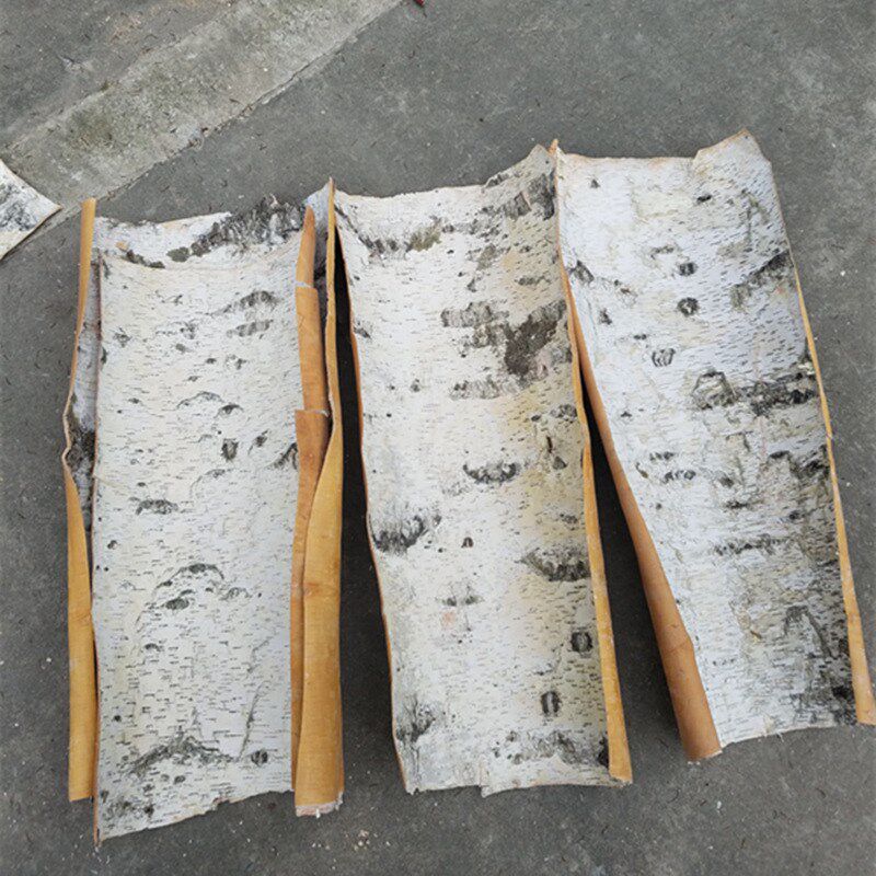天然白桦树皮家居装饰树皮DIY花材工艺原料装潢树皮装饰树桦树皮