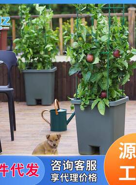 款加深料菜盆种懒人塑花盆阳台种菜种花特大长方D205形新种植槽