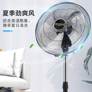 扇七张叶落力电风地扇大111风家用工业电风扇立式摇头大功率风扇