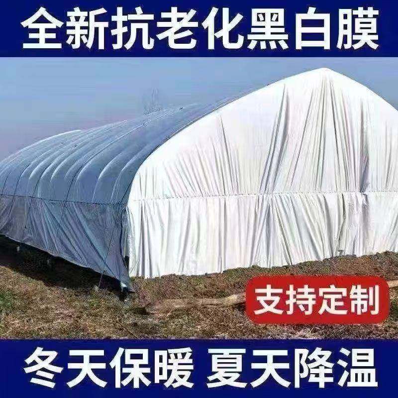 进口黑白膜加厚养殖大棚黑白膜反光隔热膜防晒塑料布食用菌大棚膜,鲜花速递/花卉仿真/绿植园艺,割草机/草坪机,淘宝优惠券,粉丝福利购,淘宝优惠卷