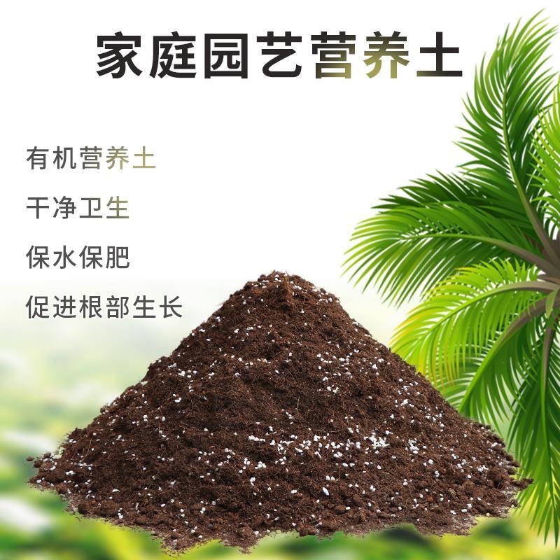 土壤营养土养花通用型家用培养土种植土室内多肉花卉种菜金小