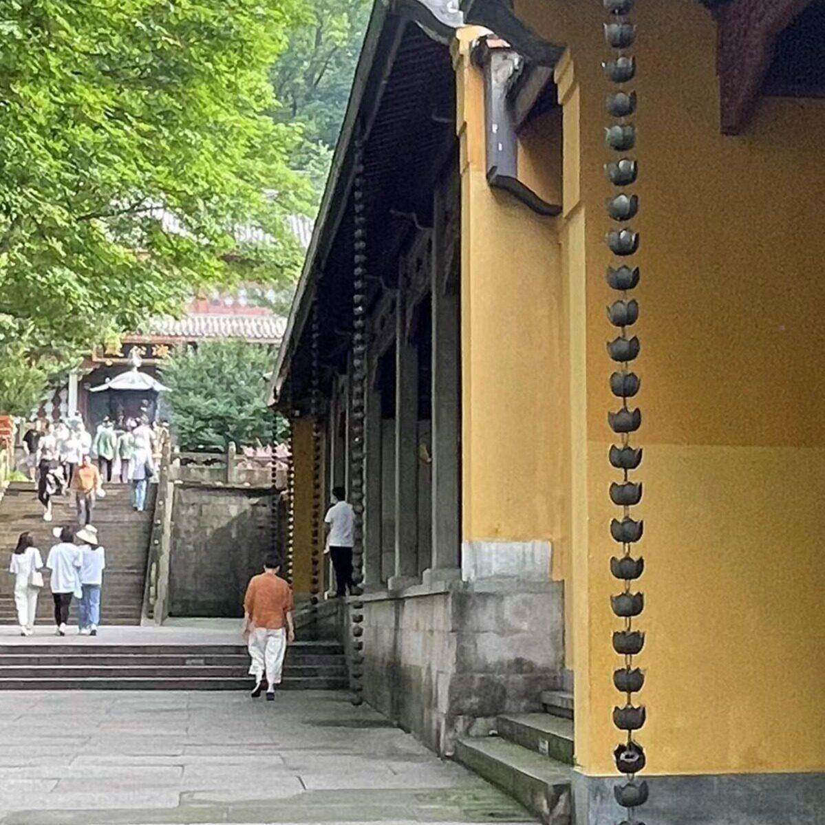 铝合金大花瓣雨链金属雨链 雨 排水雨水A款,紫链花伞链强耐莲腐