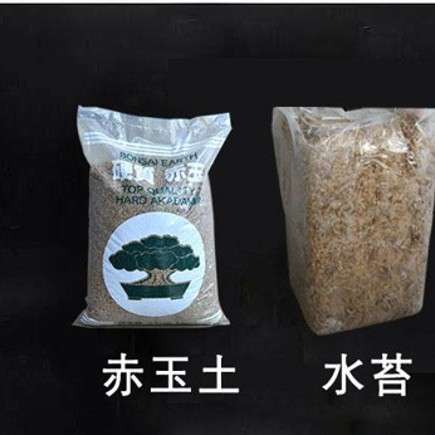 微景观水陆缸多肉造景苔藓微观瓶专用种植土赤玉土 水苔 火山石