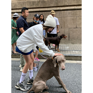 Lin 情侣装 灰色圆领套头卫衣女春秋韩版 套装 宽松休闲短裤 Xinlei