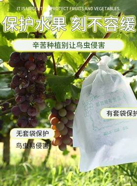 葡萄套袋防虫葡萄套育葡纸袋葡萄袋果袋子防水袋袋萄虫袋防保NXO