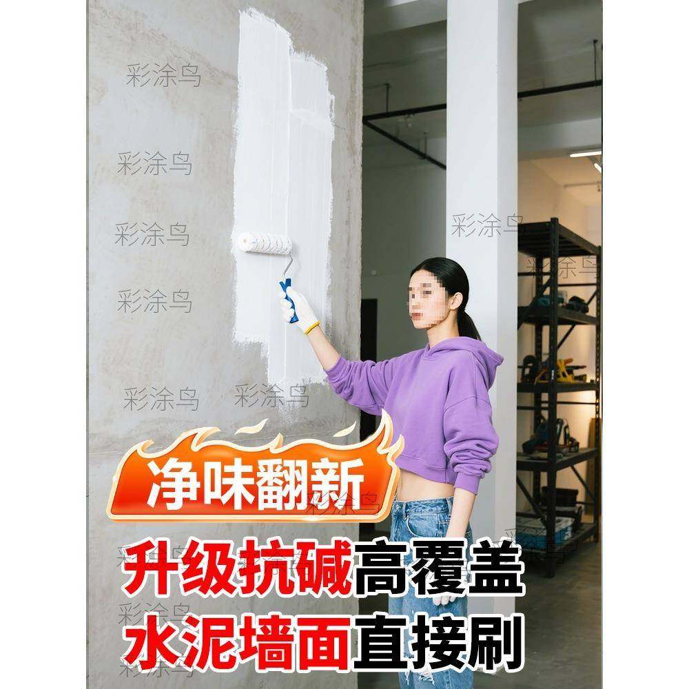 乳胶漆室内自刷CT-RJQ内墙家用桶色无甲醛彩油涂漆白色墙漆料墙面