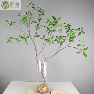 仿真马木叶片树叶假叶子绿饰色WH手感装叶塑料绿叶摄影道具醉树枝