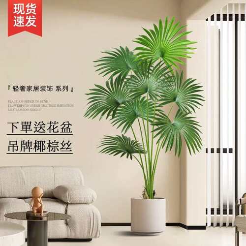 仿真植物蒲葵客厅沙发旁边大型落地绿植装饰摆件室内氛围树假树