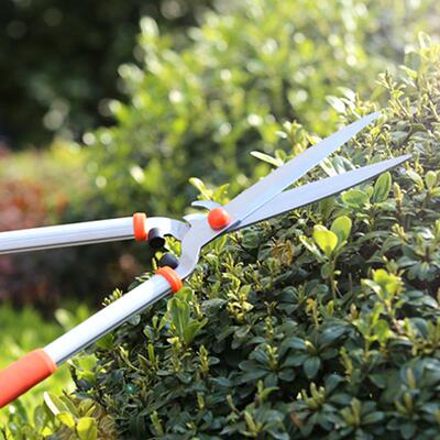 伸缩园PBS修林剪园艺剪刀树绿篱剪修枝大果树剪大花剪枝剪刀