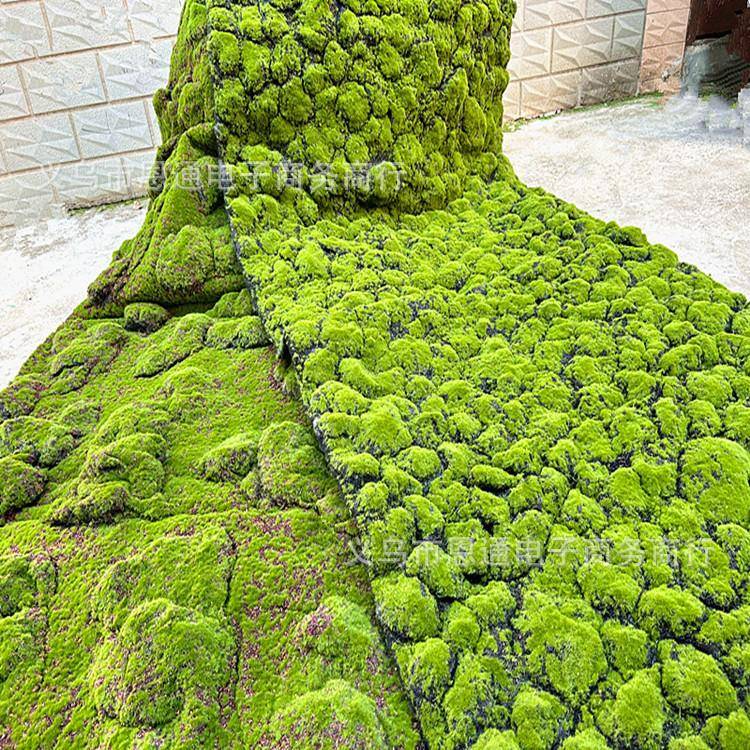 多场苞青藓苔草皮草坪植物墙微景观软装背景橱拍窗RDF展示摄盆景