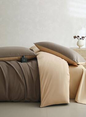 纯色wtsA类100支长绒棉纯保棉磨毛四件套单冬秋加厚暖全棉床被套