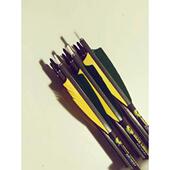 接受定制 挠度齐全 美猎用 鹿标真羽碳箭