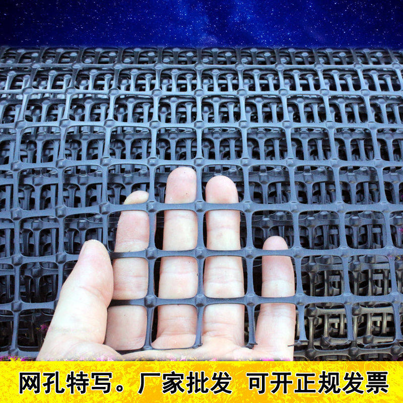土工格栅养鸡网安全网防护网护栏网养殖围栏网动物防逃网塑料平网