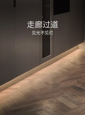 德国柏曼LED智能感应灯带 客厅卧室吊顶长条可调氛围灯条paulmann
