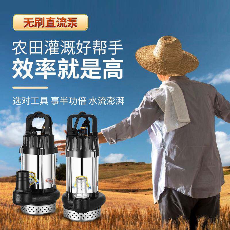 刷智能直流潜水泵24V48V0V72伏电动6瓶锈车抽水泵1无品牌/寸无2寸