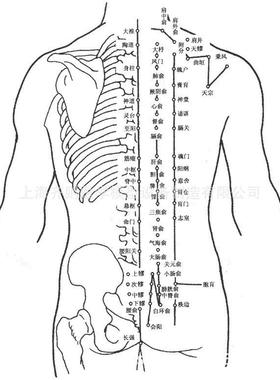 背部仿真平65针刺训练台隐性标Q记穴（位）Z-ZCPA型