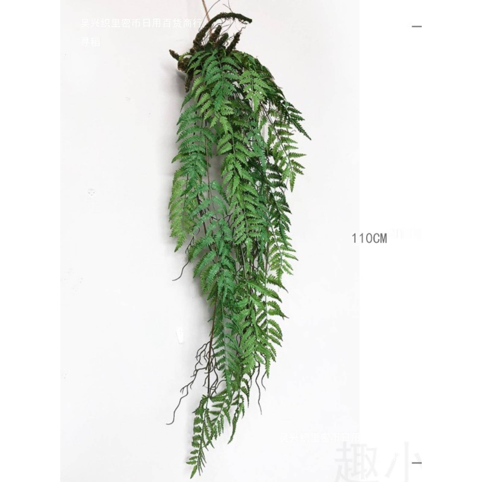 蕨花类植空中吊球吊顶装饰植物墙景家居10025719挂风饰物假艺壁挂