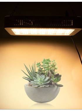 LED植物生长灯 1000w 太阳光夹子植物灯生长灯种植绿色多肉补光灯