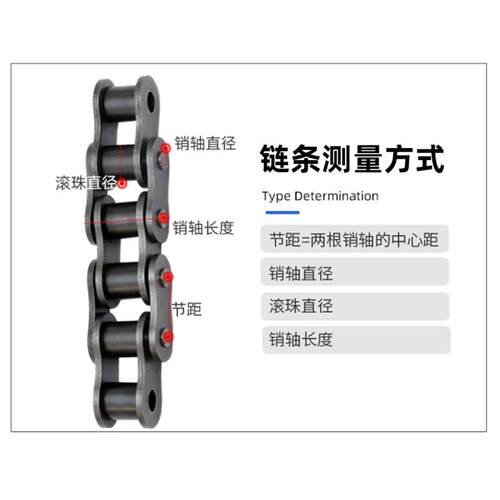 双排工业传动滚子8834链条双节距大）滚2珠链条10（1.6寸8A-2-34L