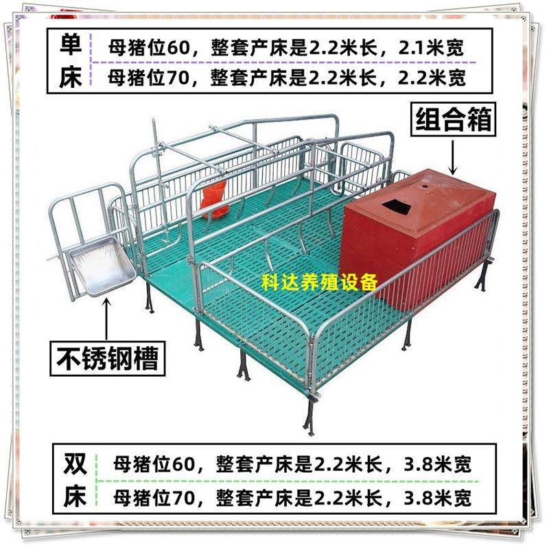 双母JGV猪高产床单体猪产床体母猪产床仔猪分娩床档产仔床