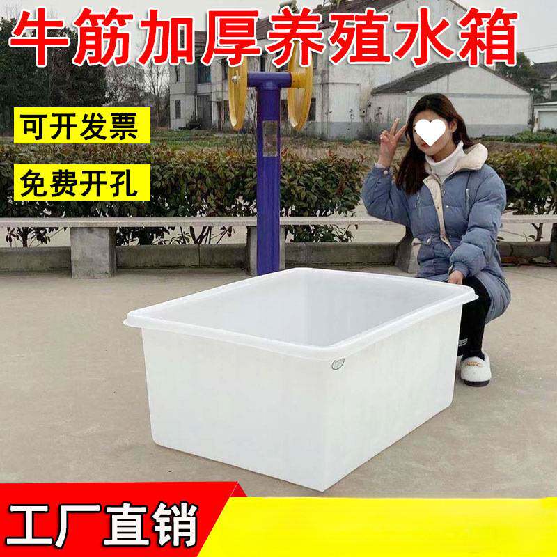 塑料水箱长方形牛筋加厚大号浅盆周转箱纺织箱养鱼养龟水产养殖箱