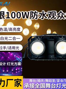 2眼100W LEDcob防水观众灯暖白双色户外高亮面光灯户外文旅演出灯