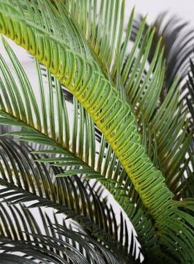 绿跨境大树型仿真铁树盆景栽室内外塑料装饰仿真植WBO苏铁树盆摆