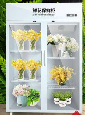 示EWX柜冷藏展保酒鲜立式冰双柜商用门超市水果啤风冷冰箱饮料柜