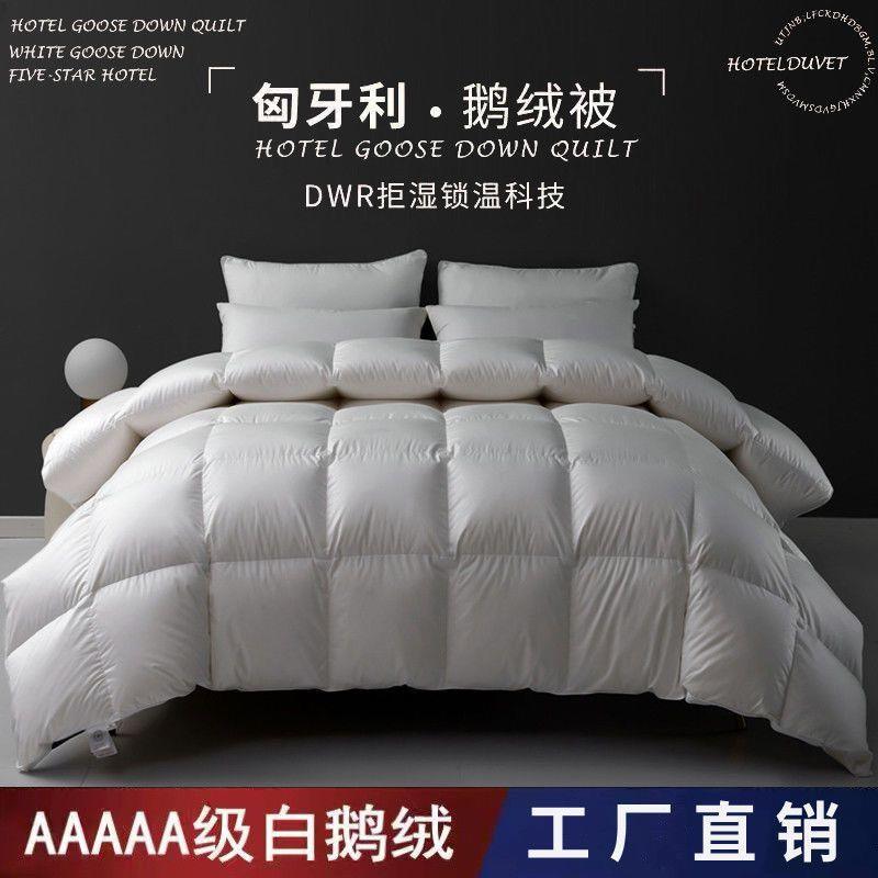匈牙利羽绒被9kk100665厚白鹅绒暖被a子类加保冬被芯蓬松超软春秋