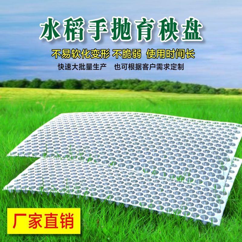水稻育秧盘手抛育苗盘人工手抛盘353孔带窝盘手抛育秧盘