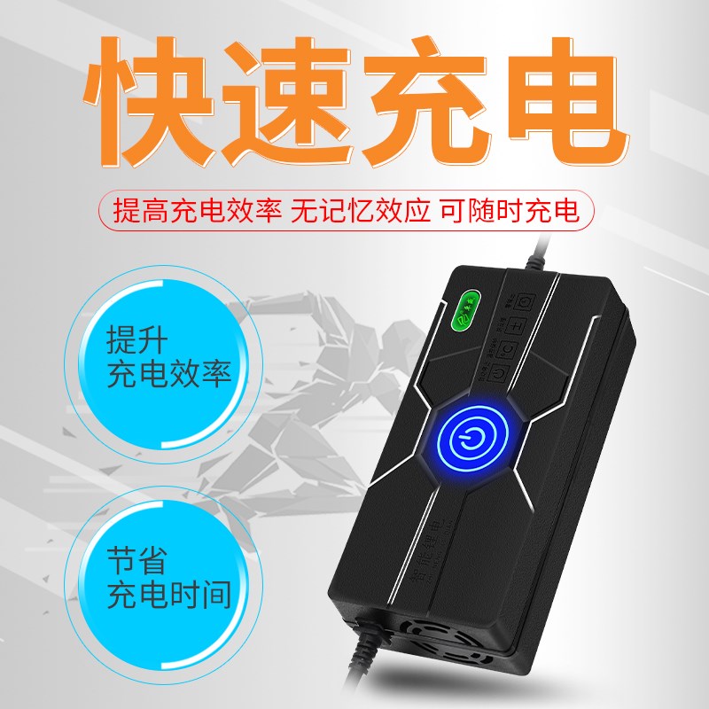 33.V锂电池充电器3.7V聚合物8串锂电池充电器33.V25