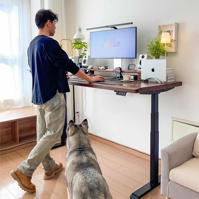 智芯松木电动升降桌实木工作台电脑桌家用台式办公桌人学习桌子