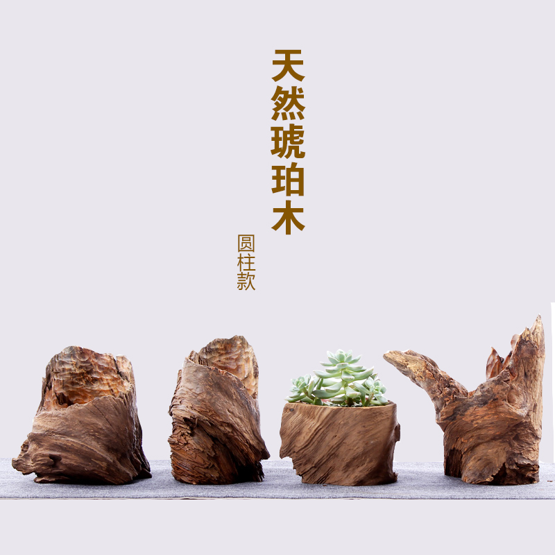 创意多肉枯木造景花盆 老桩实木天然树根防腐小花盆 空气凤梨花盆