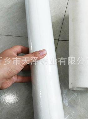 玻纤烧结滤QYA芯玻璃纤维纸芯分析仪检滤芯气滤体测检滤筒烟气测