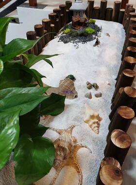 庭院白石子造景店小装铺饰台小石子阳70543142花园石头园艺绿化小