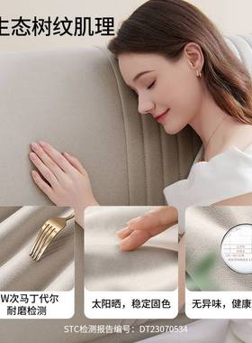 科技布艺床现代极简轻奢互不打扰双人床竖拉琴软包床C393