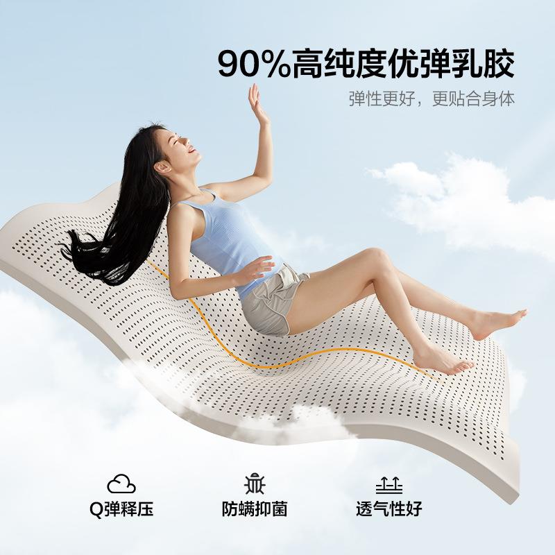 酒胶店席梦思乳WGW弹簧床垫家卧用室双偏硬椰棕床人垫
