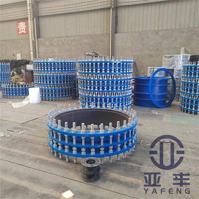 DN200可拆式传力接头不锈钢双法G兰补偿头9B/838T14414-193执接行