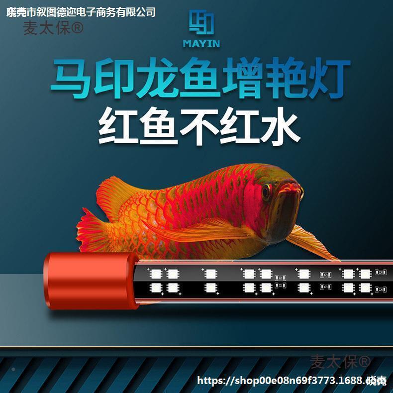 麦保马印固色灯神灯金红龙太灯三龙鱼发增10009818艳基色led灯防